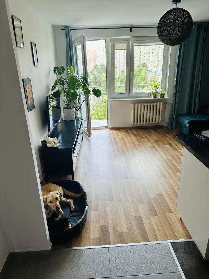 דירות Pet'S House ורשה מראה חיצוני תמונה
